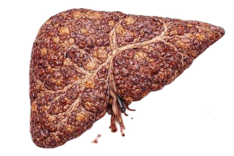 Le Foie de Schynsous
